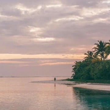 Avatar da jogadora Anika